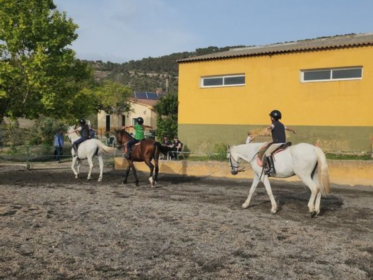 Pupilaje
