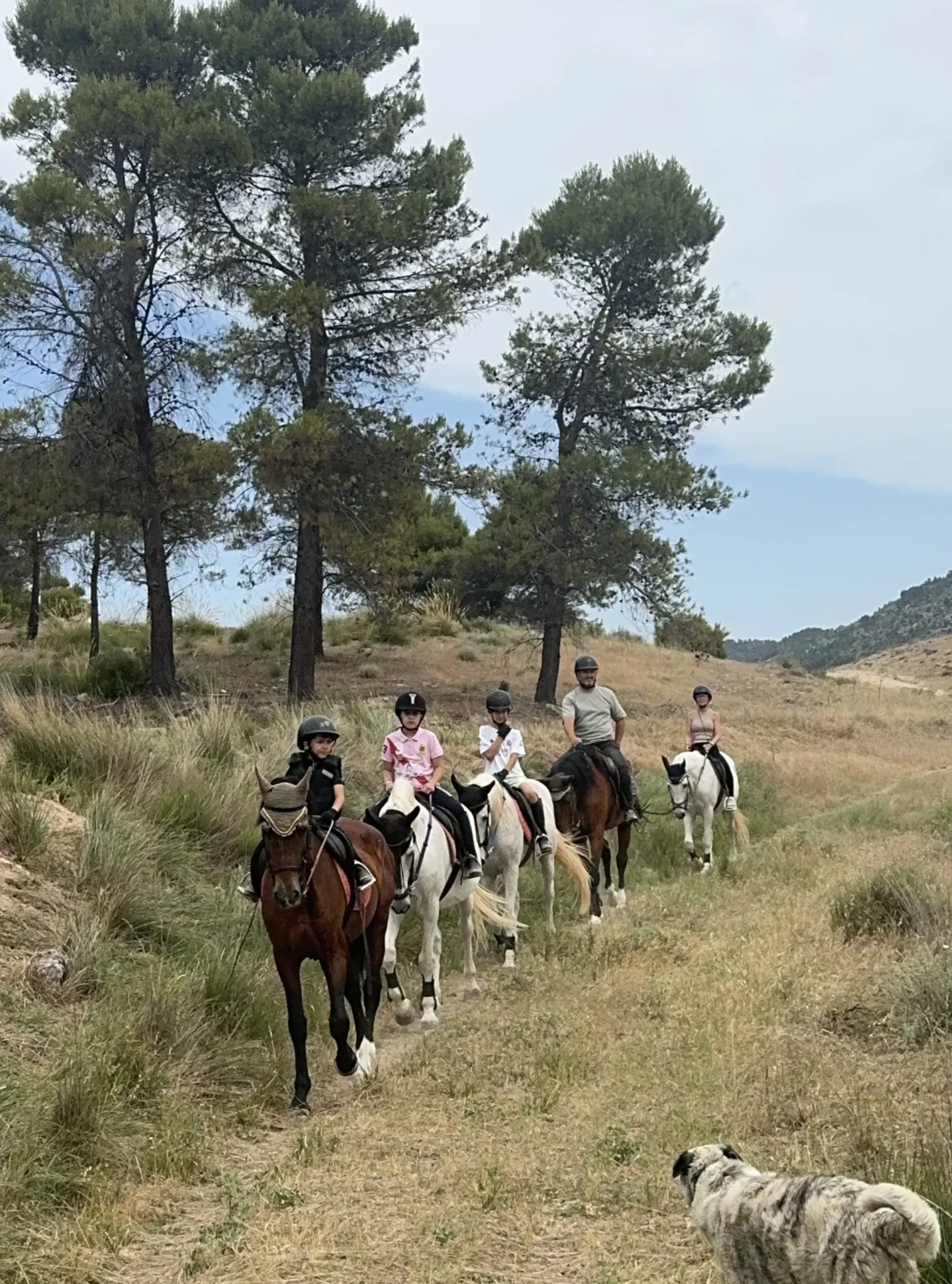 Centro Hípico La Herradura